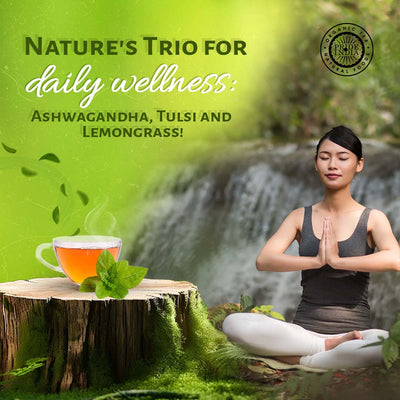 Herbal Wellness Pack - Pride Of India