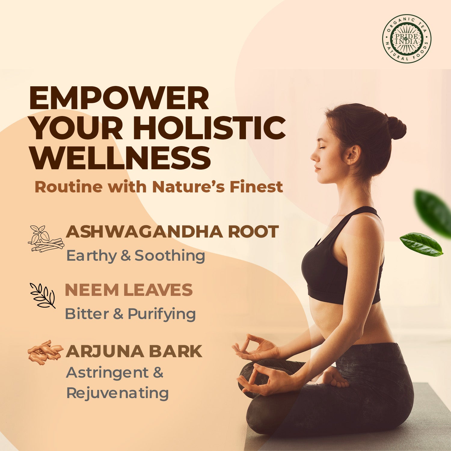 Ayurvedic Healing Pack - Pride Of India