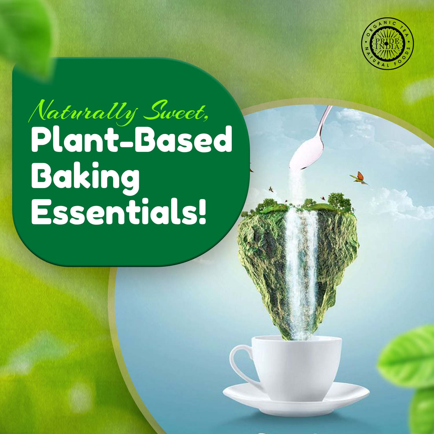 Plant-Based Sugar Substitutes - Pride Of India